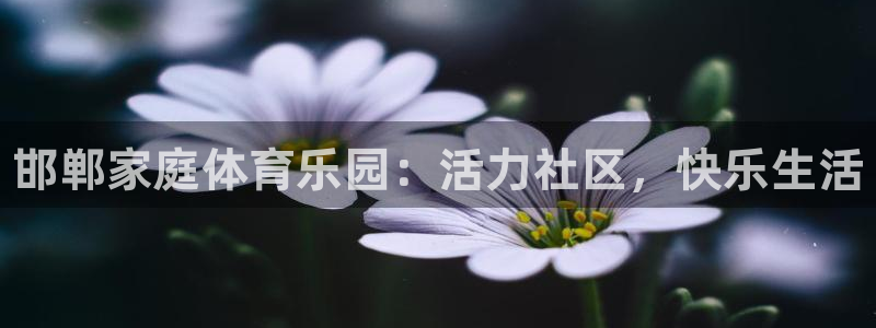 oety欧亿体育官网下载招商电话：邯郸家庭体育乐园：