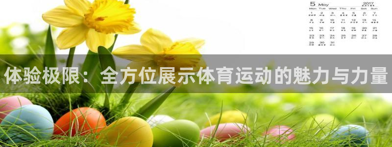 oety欧亿体育官网下载招商：体验极限：全方位展示体