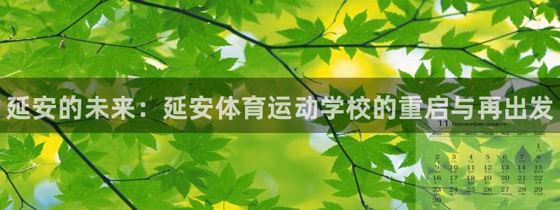 德国欧亿体育官方正版app集团：延安的未来：延安体育