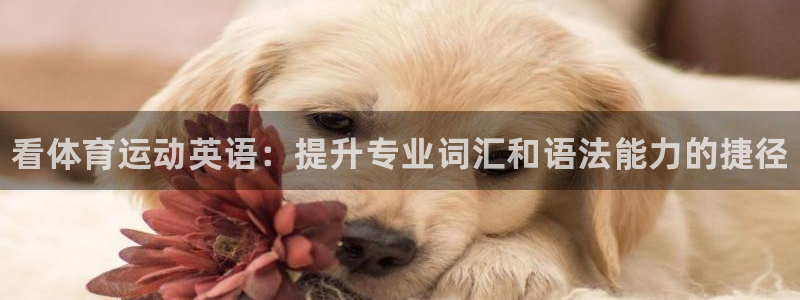 oety欧亿体育官网下载平台APP：看体育运动英语：