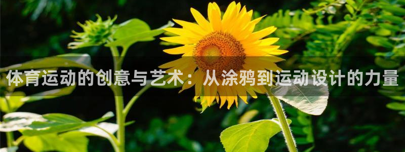 oety欧亿体育官网下载娱乐：体育运动的创意与艺术：