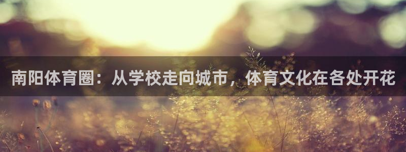 oety欧亿体育官网下载招商电话：南阳体育圈：从学校走向城市