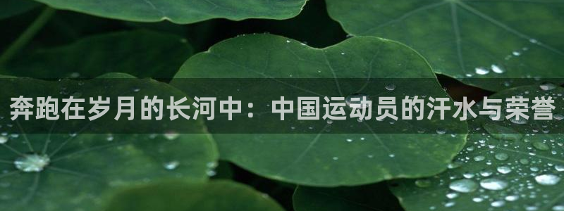 欧亿体育官方正版app集团官网首页：奔跑在岁月的长河中：中国