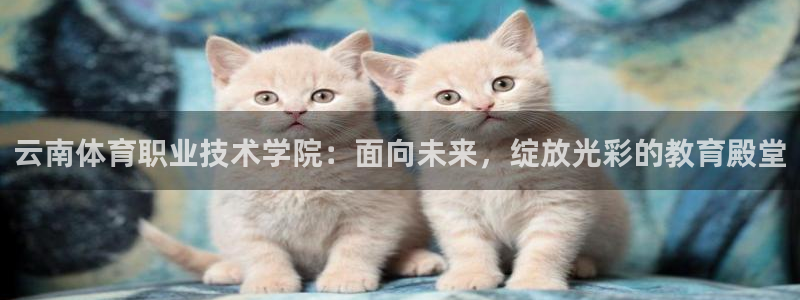 欧亿体育官方正版app集团官网首页网址：云南体育职业技术学院