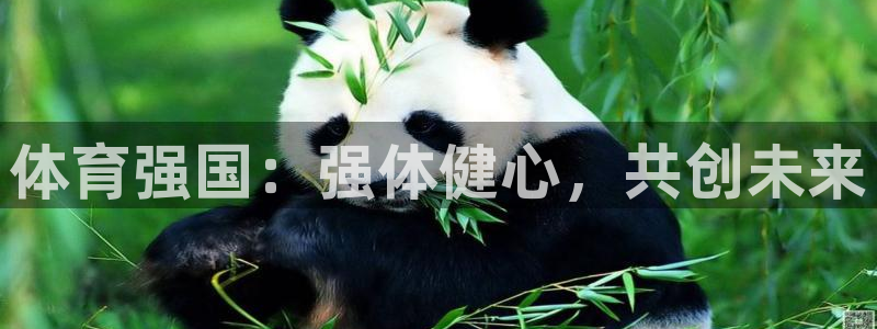 oety欧亿体育官网下载：体育强国：强体健心，共创未来