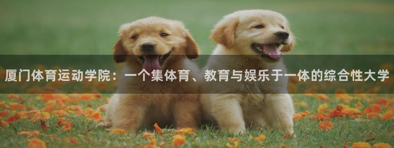 oety欧亿体育官网下载平台是正规平台吗安全吗：厦门体育运动