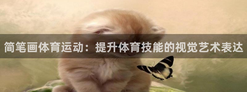 oety欧亿体育官网下载：简笔画体育运动：提升体育技