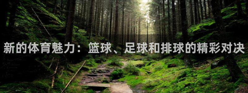欧亿体育官方正版app集团官网首页网址：新的体育魅力