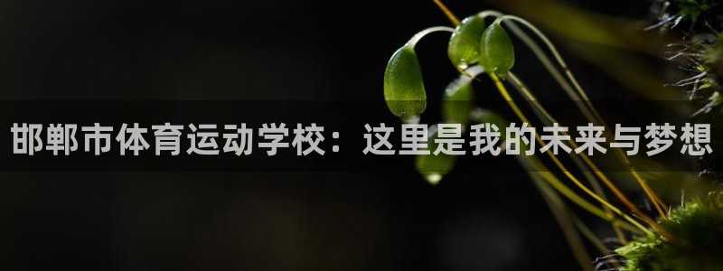 欧亿体育官方正版app娱乐网站