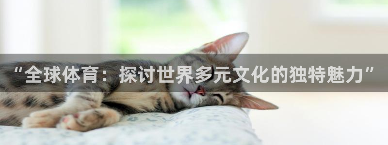 欧亿体育官方正版app娱乐40996：“全球体育：探讨世界多