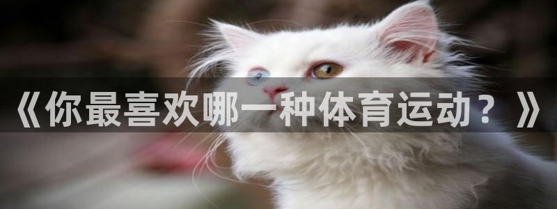 oety欧亿体育官网下载平台注册